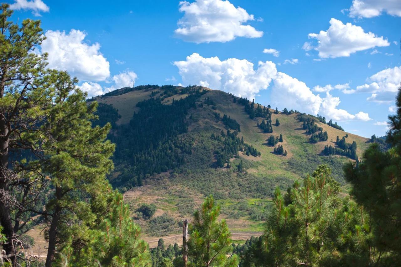 Huge Ruidoso Retreat With Game Room, Pool, 2 Balconies, 2 Kitchens - Sleeps 17! Екстериор снимка